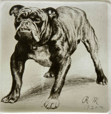 Richard Müller (1874-1954),Kraft und Spannung des grimmig blickenden Tieres, meisterlich
dargestellt,a grim looking dog, full of tension and virtually jumping out of the frame